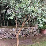 Ischia-forio-punta Caruso-la Grille Du Coq-villa 2 Il Prezzo Della E Riferito All'intero Con Il Limite Delle Persone Previste N 4 * Lacco Ameno (Isola d'Ischia)