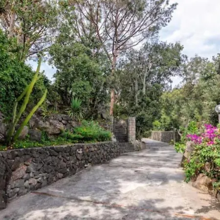 Semesterbostad Forio Casa Villa, La Grille Du Coq 2 Il Prezzo Della E Riferito All'intero Con Il Limite Delle Persone Previste N 4