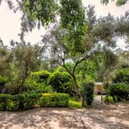 Ischia-forio-punta Caruso-la Grille Du Coq-villa 2 Il Prezzo Della E Riferito All'intero Con Il Limite Delle Persone Previste N 4 * Lacco Ameno (Isola d'Ischia)