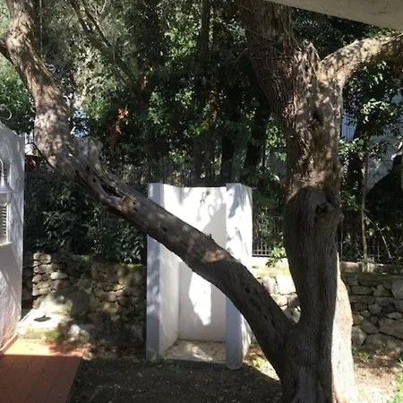 Σπίτι διακοπών Ischia-forio-punta Caruso-la Grille Du Coq-villa 2 Il Prezzo Della E Riferito All'intero Con Il Limite Delle Persone Previste N 4 *