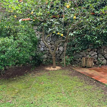Nyaraló Ischia-forio-punta Caruso-la Grille Du Coq-villa 2 Il Prezzo Della E Riferito All'intero Con Il Limite Delle Persone Previste N 4