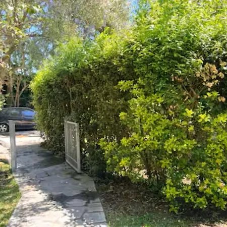 Ischia-forio-punta Caruso-la Grille Du Coq-villa 2 Il Prezzo Della E Riferito All'intero Con Il Limite Delle Persone Previste N 4 Nyaraló *