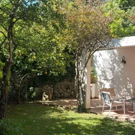 Ischia-forio-punta Caruso-la Grille Du Coq-villa 2 Il Prezzo Della E Riferito All'intero Con Il Limite Delle Persone Previste N 4 * Lacco Ameno
