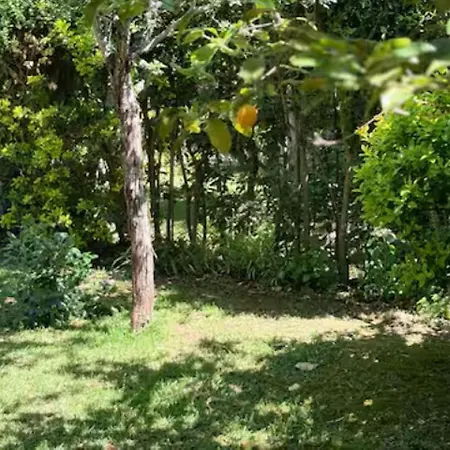 Ischia-forio-punta Caruso-la Grille Du Coq-villa 2 Il Prezzo Della E Riferito All'intero Con Il Limite Delle Persone Previste N 4 Nyaraló