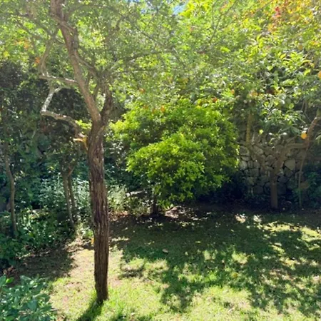 Ischia-forio-punta Caruso-la Grille Du Coq-villa 2 Il Prezzo Della E Riferito All'intero Con Il Limite Delle Persone Previste N 4 Lacco Ameno
