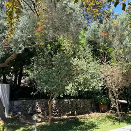 Ischia-forio-punta Caruso-la Grille Du Coq-villa 2 Il Prezzo Della E Riferito All'intero Con Il Limite Delle Persone Previste N 4