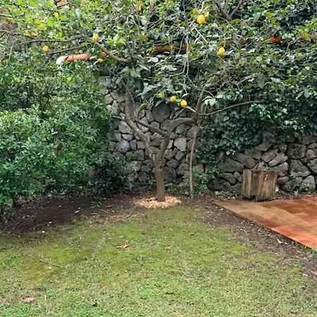 Nyaraló Ischia-forio-punta Caruso-la Grille Du Coq-villa 2 Il Prezzo Della E Riferito All'intero Con Il Limite Delle Persone Previste N 4 Lacco Ameno