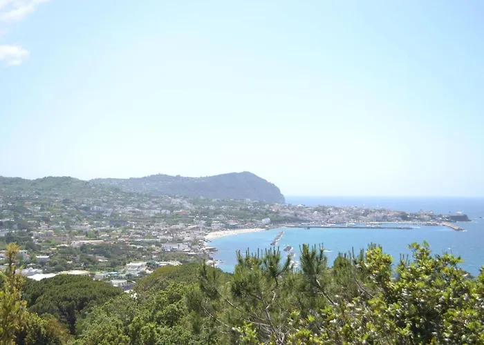Ischia-forio-punta Caruso-la Grille Du Coq-villa 2 Il Prezzo Della E Riferito All'intero Con Il Limite Delle Persone Previste N 4 * Lacco Ameno (Isola d'Ischia)
