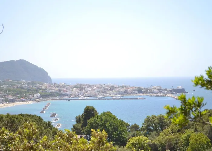 Ischia-forio-punta Caruso-la Grille Du Coq-villa 2 Il Prezzo Della E Riferito All'intero Con Il Limite Delle Persone Previste N 4 *