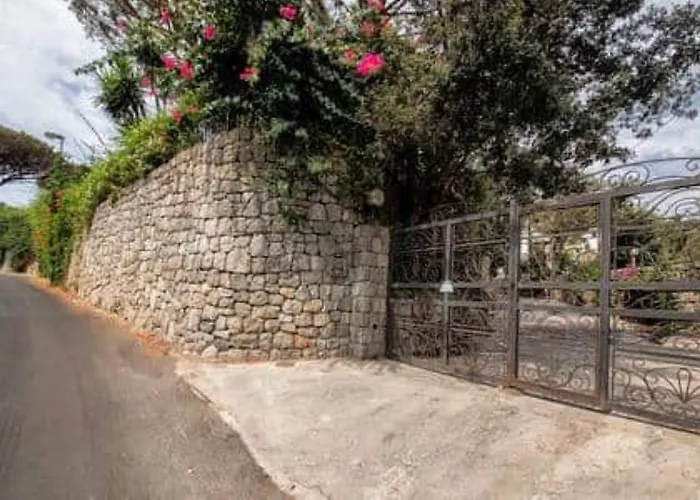 Ischia-forio-punta Caruso-la Grille Du Coq-villa 2 Il Prezzo Della E Riferito All'intero Con Il Limite Delle Persone Previste N 4 Σπίτι διακοπών