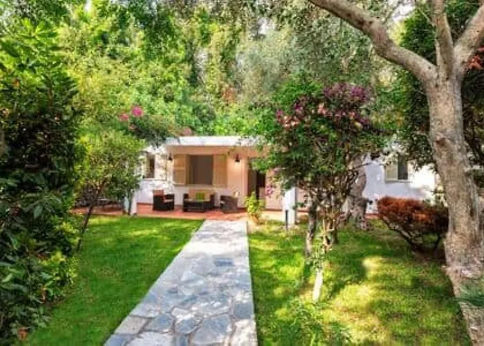 Σπίτι διακοπών Ischia-forio-punta Caruso-la Grille Du Coq-villa 2 Il Prezzo Della E Riferito All'intero Con Il Limite Delle Persone Previste N 4 Lacco Ameno (Isola d'Ischia)