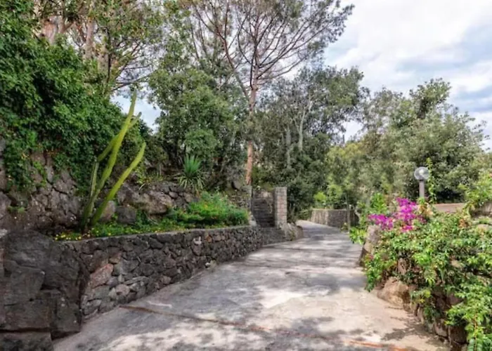 Σπίτι διακοπών Ischia-forio-punta Caruso-la Grille Du Coq-villa 2 Il Prezzo Della E Riferito All'intero Con Il Limite Delle Persone Previste N 4