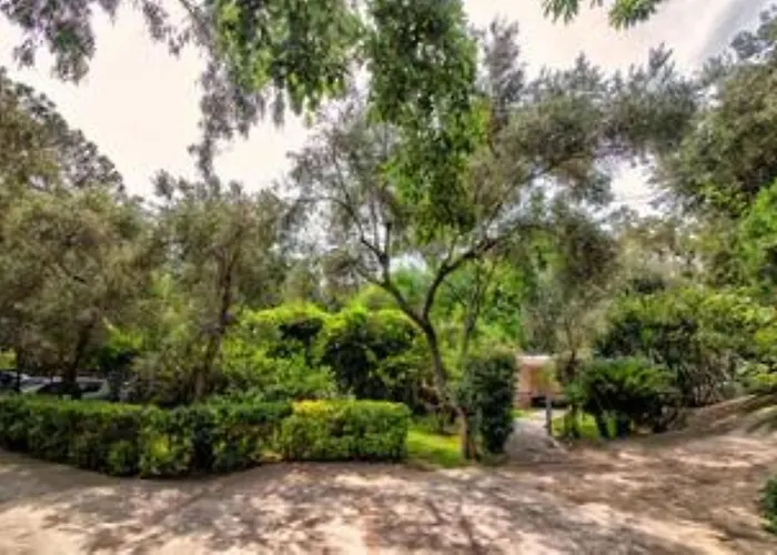 Ischia-forio-punta Caruso-la Grille Du Coq-villa 2 Il Prezzo Della E Riferito All'intero Con Il Limite Delle Persone Previste N 4 * Lacco Ameno (Isola d'Ischia)