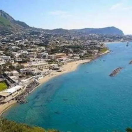 Ischia Forio Casa Villa, La Grille Du Coq 2 Il Prezzo Della E Riferito All'intero Con Il Limite Delle Persone Previste N 4 Ferienhaus