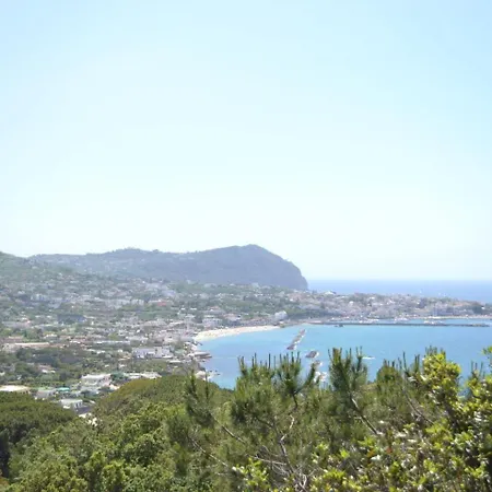 Forio Casa Villa, La Grille Du Coq 2 Il Prezzo Della E Riferito All'intero Con Il Limite Delle Persone Previste N 4 * Ischia