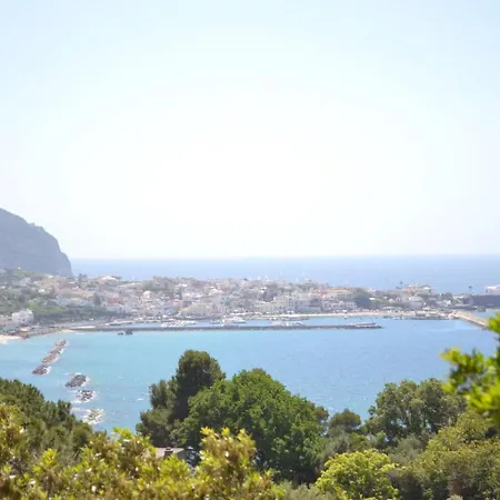 Ischia Forio Casa Villa, La Grille Du Coq 2 Il Prezzo Della E Riferito All'intero Con Il Limite Delle Persone Previste N 4 *